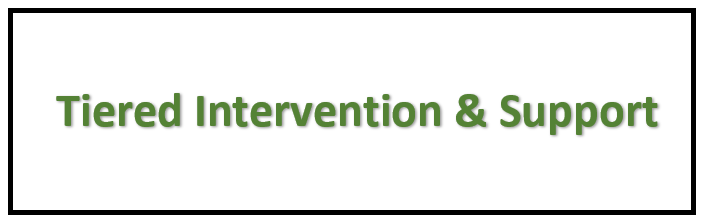 Tiered Intervention & Support 